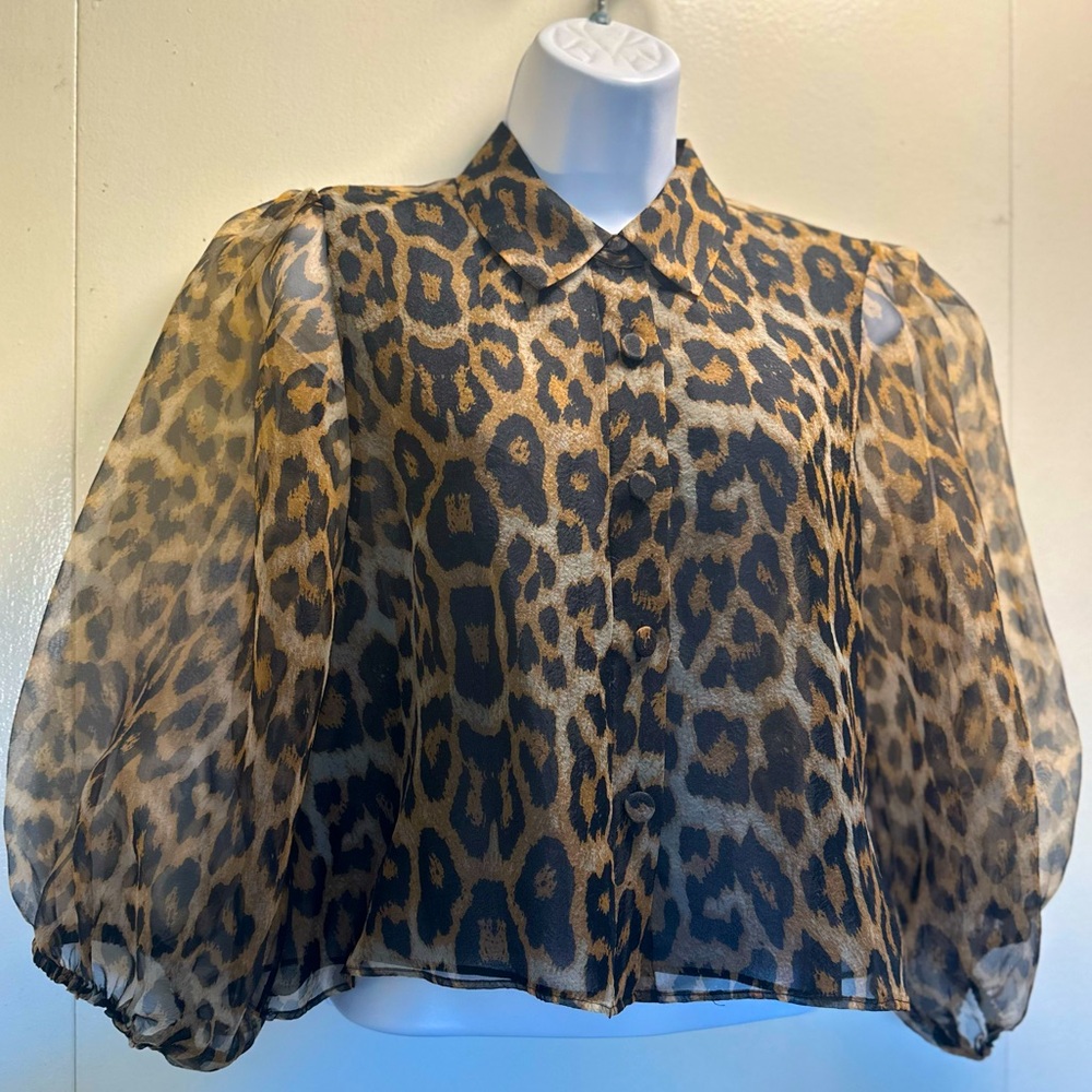 Zara Leopard Print Organza Cropped Top